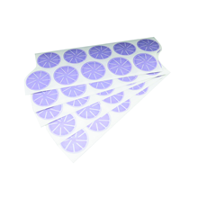 Schleifscheibe Polarstar SR